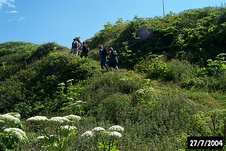 The path to Sleepy Cove.